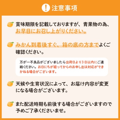 【2026年2月下旬～発送】上神農園のはるか 約5kg ku011-011-25