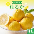 【2026年2月下旬～発送】上神農園のはるか 約10kg ku011-012-25
