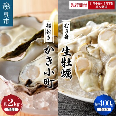 【先行受付】丸十水産 生牡蠣 特選むき身 400g 殻付き かき小町 約2kg (10～14個) 