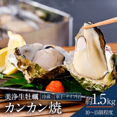 中野水産 美浄生牡蠣 冷蔵 カンカン焼 軍手、牡蠣ナイフ付 約1.5kg 10～15個 