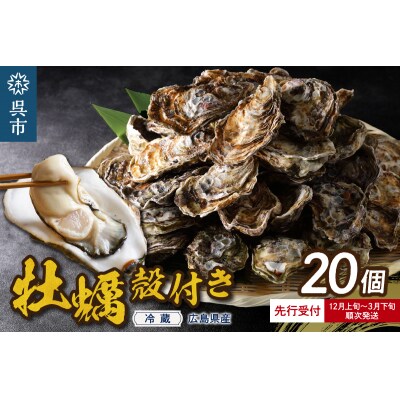 【先行受付】高田水産 殻付かき 20個 (Lサイズ)
