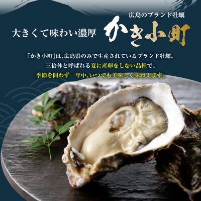 【2025年11月解禁後順次発送】高田水産殻付かき小町13個(Lサイズ) 
