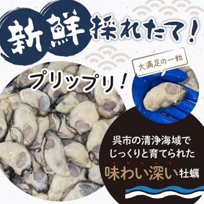 沖元水産 広島かき むき身 800g(400g×2袋) ku009-001-25