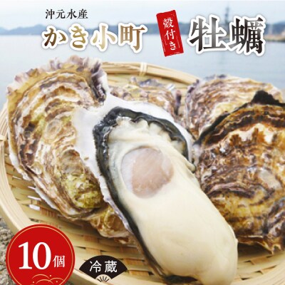 沖元水産 かき小町 殻付き 牡蠣 10個 牡蠣ナイフ、レシピ付 ku009-002-25