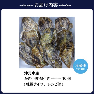 沖元水産 かき小町 殻付き 牡蠣 10個 牡蠣ナイフ、レシピ付 ku009-002-25