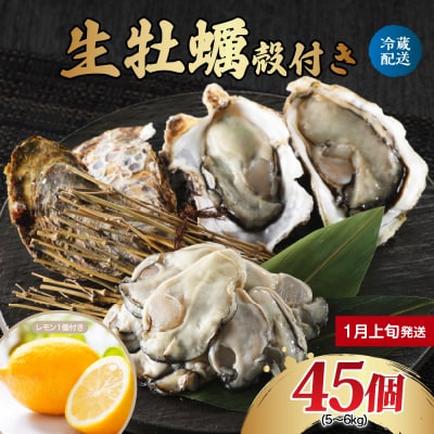 【2026年1月上旬発送】ナバラ水産 生牡蠣 殻付き 45個　ku001-005-01-1-25