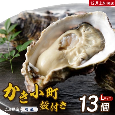 【2025年12月上旬発送】高田水産 殻付 かき小町 13個 (Lサイズ)
