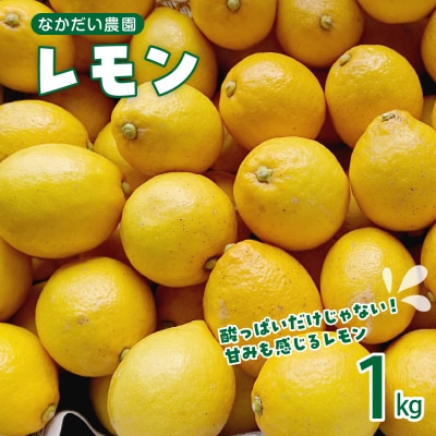 【2025年12月～発送】栽培期間中農薬不使用「レモン」 約1kg ku033-004-25
