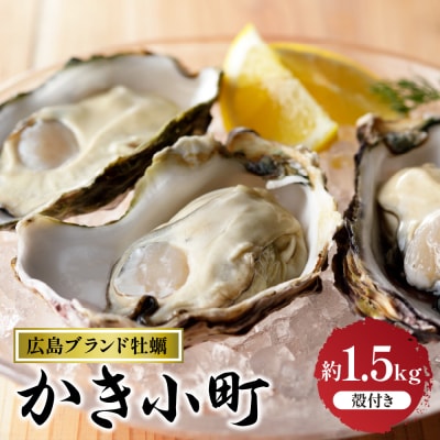 丸十水産 広島ブランド牡蠣 殻付き かき小町 約1.5kg (8～10個) ku003-009-25