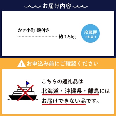 丸十水産 広島ブランド牡蠣 殻付き かき小町 約1.5kg (8～10個) ku003-009-25