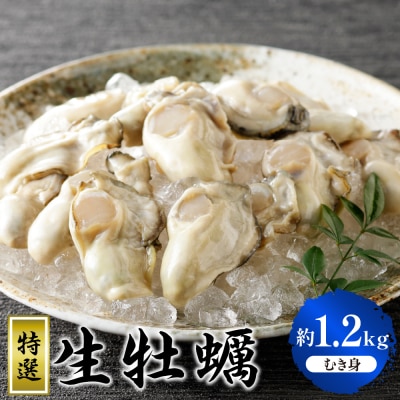 丸十水産 特選生牡蠣 むき身 1.2kg (600g×2袋) ku003-002-25
