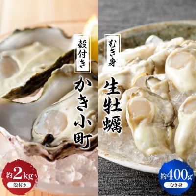 【2025年12月より発送】丸十水産 生牡蠣 特選むき身 400g 殻付き かき小町 約2kg