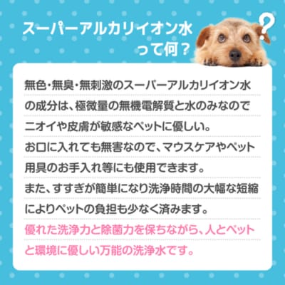 スーパーアルカリイオン水 ANY(アニー) 消臭 詰め替え用 2L 