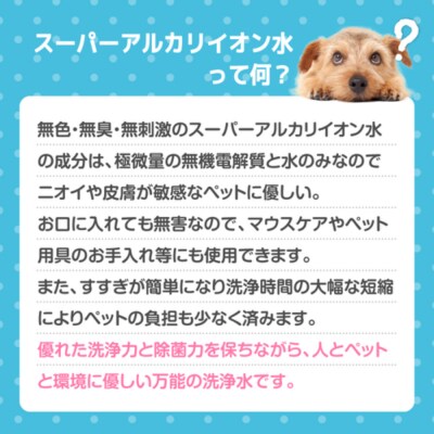 スーパーアルカリイオン水 ANY(アニー) 消臭 詰め替え用 5L 