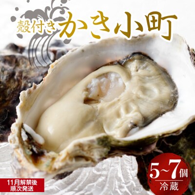 【2025年11月解禁後順次発送】宮原水産 かき小町 殻付き5～7個 ku005-006-11-25