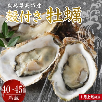 【2026年1月上旬発送】宮原水産 かき 殻付き 40～45個 ku005-013-01-1-25