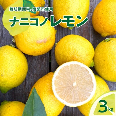 【2025年12月下旬～発送】ナニコノレモン 3kg ku149-001-25