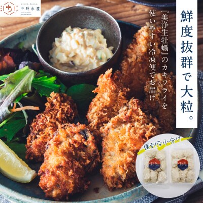 【定期便 3か月】中野水産 美浄生牡蠣 冷凍カキフライ ku007-008-r