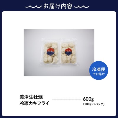 【定期便 3か月】中野水産 美浄生牡蠣 冷凍カキフライ ku007-008-r