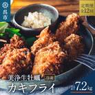 【定期便 12か月】中野水産 美浄生牡蠣 冷凍カキフライ ku007-010-r