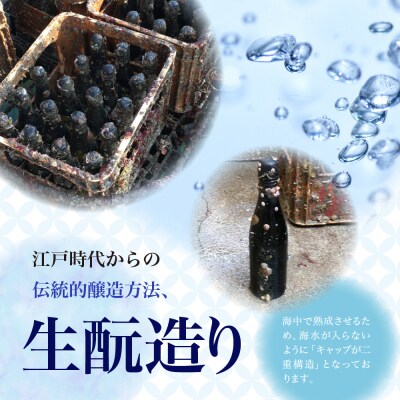 華鳩 海洋熟成酒 瀬戸の龍宮 生酛火入れ純米原酒