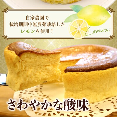 洋菓子素材工房ぴゅあハウス 冷凍チーズケーキ 約15cm (5号) ku156-001-r