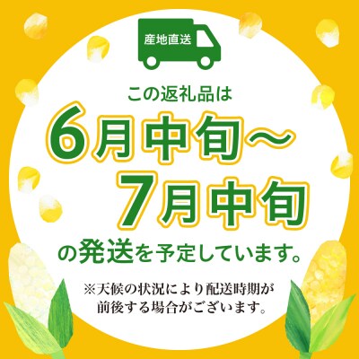  【品種 スーパーホワイトコーン】白色 箱込 約5kg 9本～13本≪6月中旬ごろより順次発送開始≫