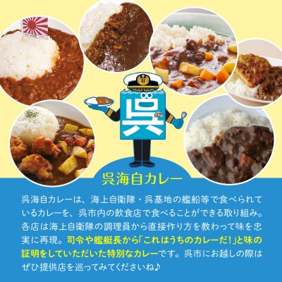 呉海自カレー レトルトカレー 4種詰合せ(D) はくりゅう 他