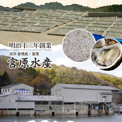 宮原水産　釜揚げしらす　2.0kg ku005-023-r