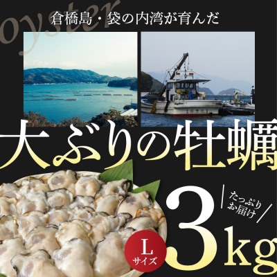 北吉水産 広島県産 冷凍 かき Lサイズ 3kg(1kg×3袋)ku004-006-rr