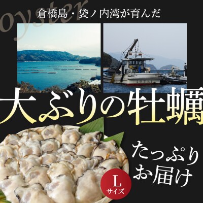 北吉水産 広島県産 冷凍 かき Lサイズ 1kg(1kg×1袋)ku004-005-rr