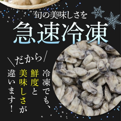 北吉水産 広島県産 冷凍 かき Lサイズ 1kg(1kg×1袋)ku004-005-rr