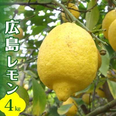 【2025年10月中旬～発送】安全・安心　広島レモン 4kg ku173-001-25
