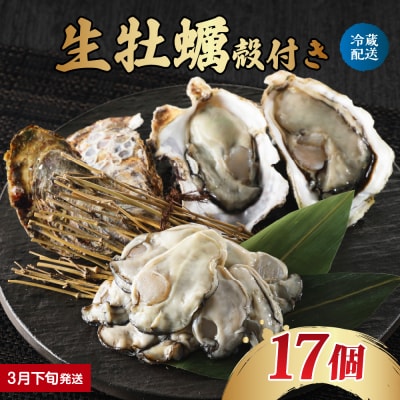 【2026年3月下旬発送】ナバラ水産 生牡蠣 殻付き 17個 ku001-004-03-3-25