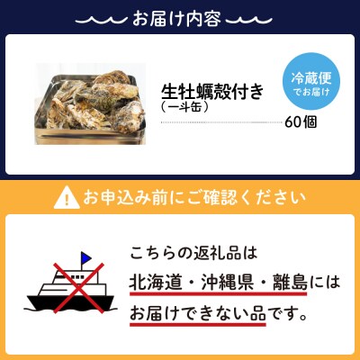【2026年1月下旬発送】ナバラ水産 生牡蠣 殻付き どおんと!一斗缶 60個入