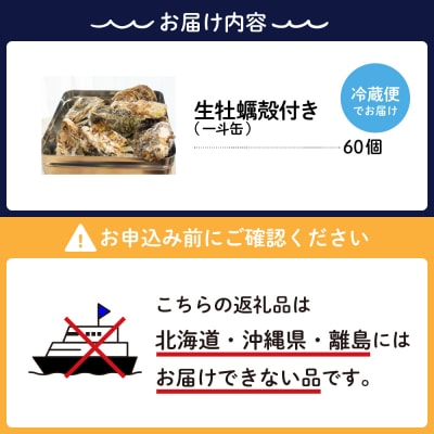 【2026年2月上旬発送】ナバラ水産 生牡蠣 殻付き どおんと!一斗缶 60個入
