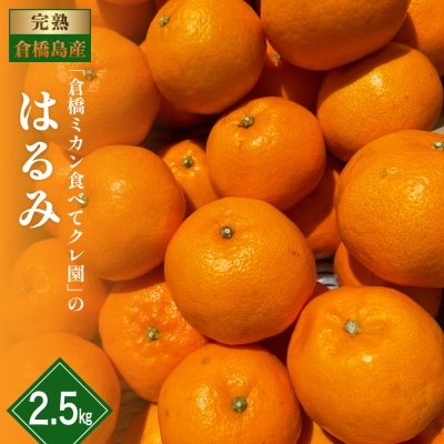 【2026年1月下旬～発送】倉橋ミカン食べてクレ園 はるみ 約2.5kg ku154-006-25