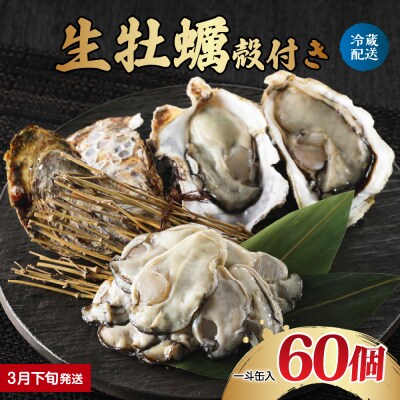【2026年3月下旬発送】ナバラ水産 生牡蠣 殻付き どおんと!一斗缶 60個入
