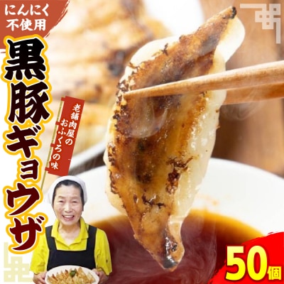 黒豚ギョウザ 50個入り　ku190-001-r