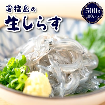 生シラス500g (100g×5個) ku204-003-r