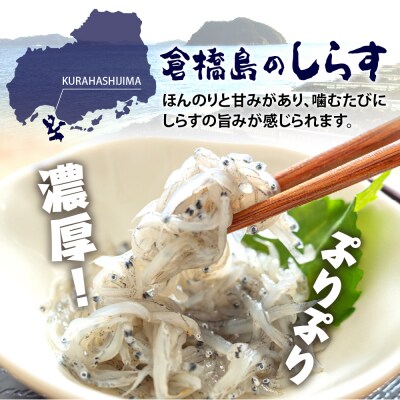 生シラス500g (100g×5個) ku204-003-r