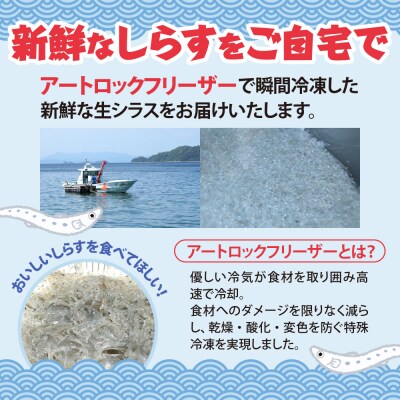 生シラス500g (100g×5個) ku204-003-r