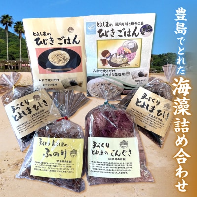 とよしまの海藻詰合わせ ku174-001-r