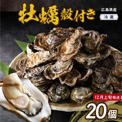 【2025年12月上旬発送】高田水産殻付かき20個 (Lサイズ)ku010-002-12-1-25