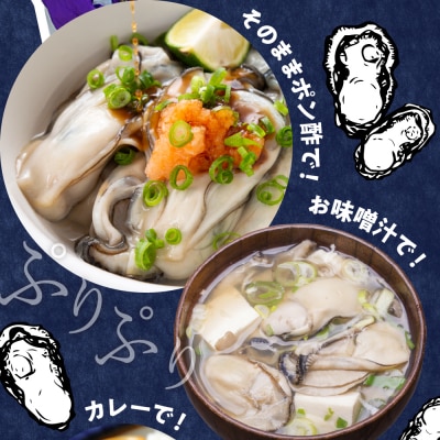 【2026年1月下旬発送】宮原水産 かき むき身 800g ku005-005-01-3-25