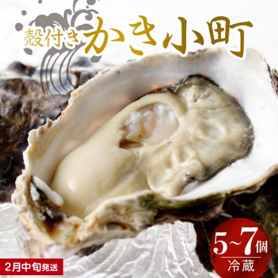 【2026年2月中旬発送】宮原水産 かき小町 殻付き 5～7個 ku005-006-02-2-25