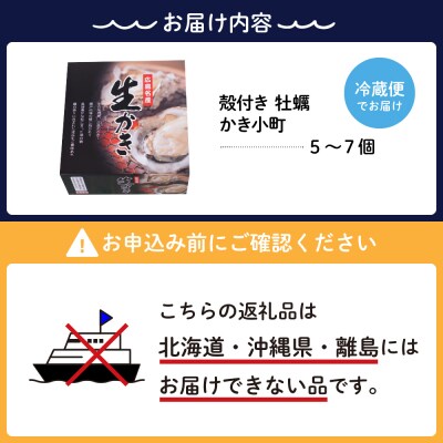 【2026年3月下旬発送】宮原水産 かき小町 殻付き 5～7個 ku005-006-03-3-25