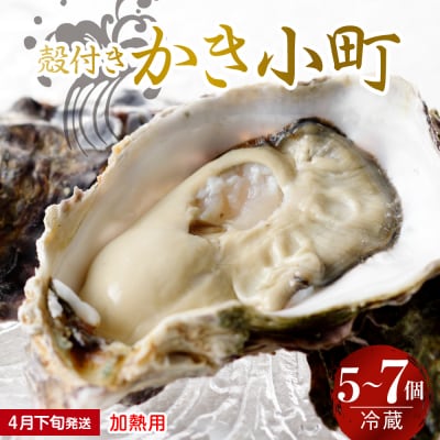 【2026年4月下旬発送】宮原水産 かき小町殻付き5～7個加熱用 ku005-006-04-3-25