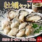 【2026年4月上旬発送】宮原水産 かき 殻付き 6～8個 むき身 500g セット 加熱用