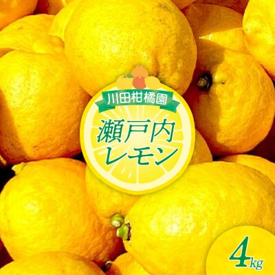 【2025年12月下旬～発送】川田柑橘園 広島県産 「瀬戸内レモン」4kg ku055-009-25